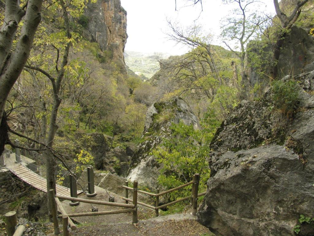 Hotel Los Cerezos Monachil Zewnętrze zdjęcie